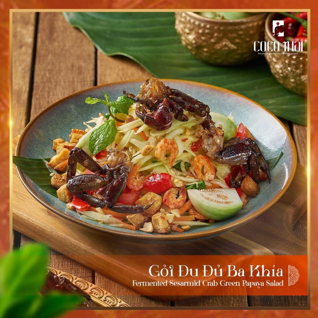 CO CO THÁI Quận 1